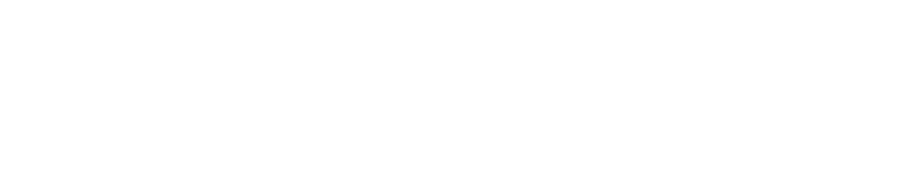 Orca
